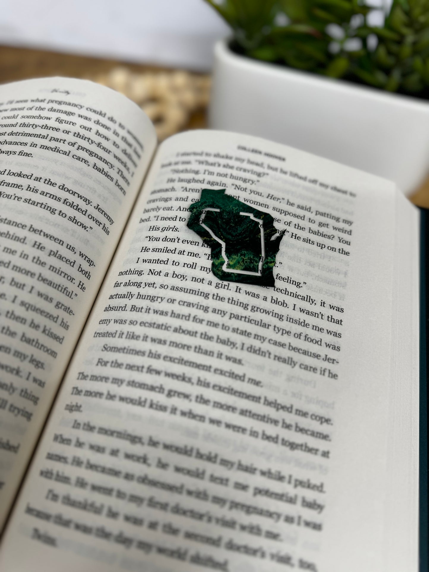 Wisconsin Bookmark